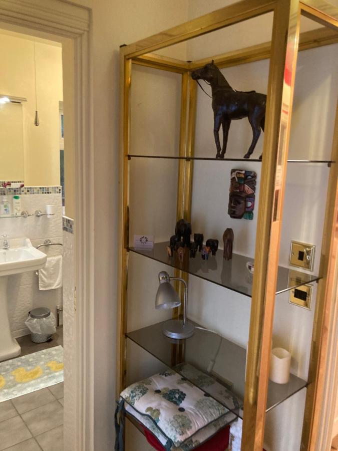 Mountroyal Victorian Studio Self Catering Apartment 3 بلفاست المظهر الخارجي الصورة