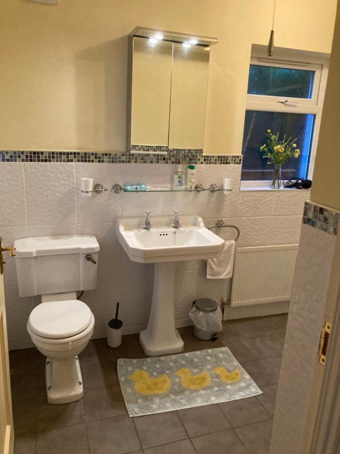 Mountroyal Victorian Studio Self Catering Apartment 3 بلفاست المظهر الخارجي الصورة