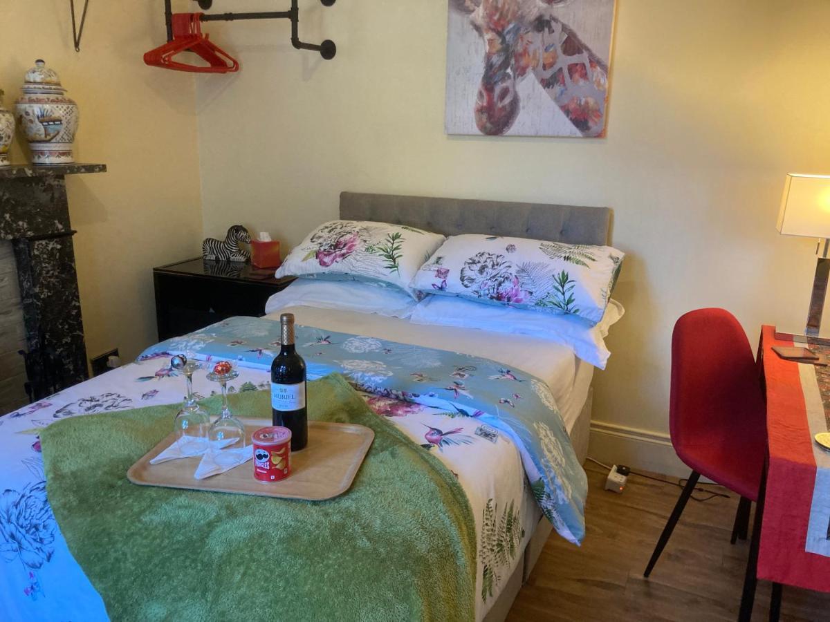 Mountroyal Victorian Studio Self Catering Apartment 3 بلفاست المظهر الخارجي الصورة