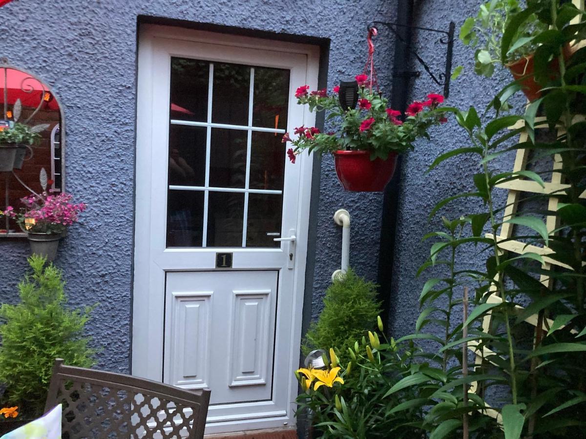 Mountroyal Victorian Studio Self Catering Apartment 3 بلفاست المظهر الخارجي الصورة