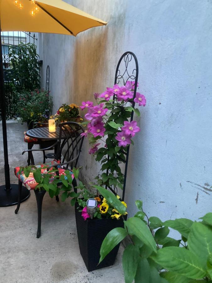 Mountroyal Victorian Studio Self Catering Apartment 3 بلفاست المظهر الخارجي الصورة