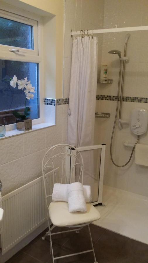 Mountroyal Victorian Studio Self Catering Apartment 3 بلفاست المظهر الخارجي الصورة